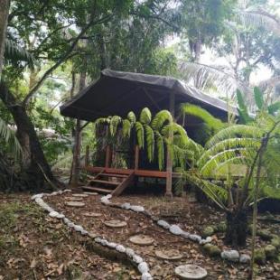 Фотография базы отдыха Four Monkeys Eco Lodge