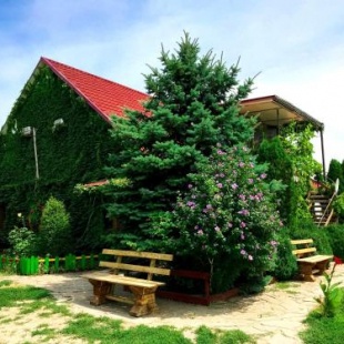 Фотография гостевого дома На Калинина, 347