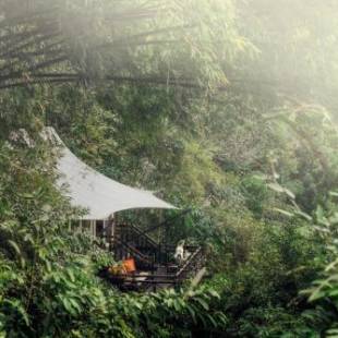 Фотография гостиницы Four Seasons Tented Camp Golden Triangle-SHA Extra Plus