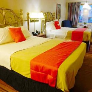 Фотография гостиницы Stay Saratoga