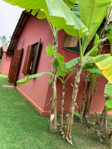 Фотография гостиницы Chalés Solar do Patacho