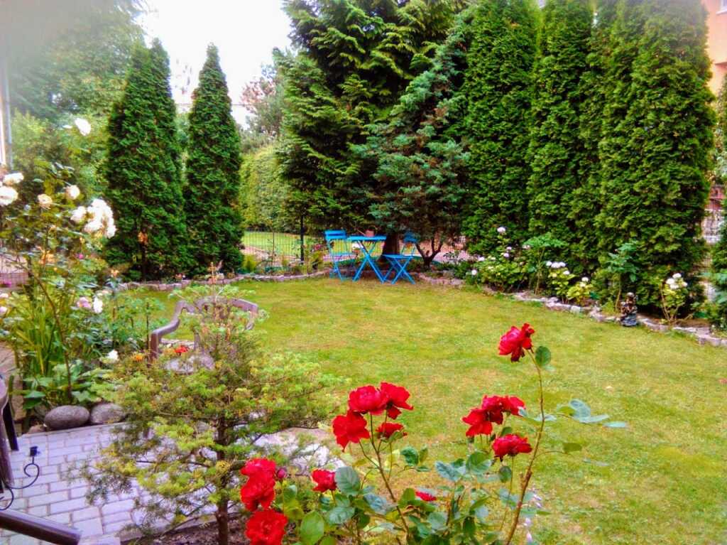 Фотография Коттеджа Частный дом Таунхаус "Angel" Парк и Море