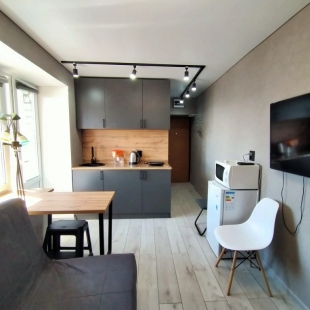 Фотография квартиры Квартира Мини-студия в Центре на Чехова 17