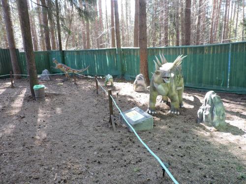 Фотографии гостиницы Парк ЛихоЛесье