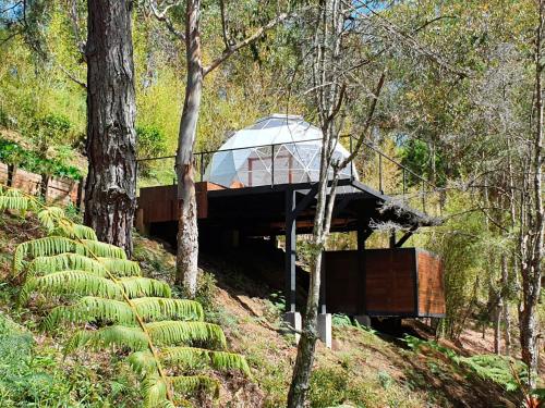 Фотография гостиницы Domus Glamping