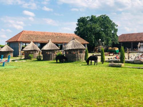 Фотография гостиницы Фазенда