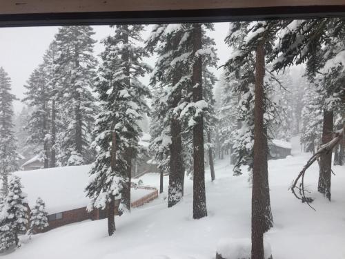 Фотография гостевого дома Mountainback #116, Loft,Corner