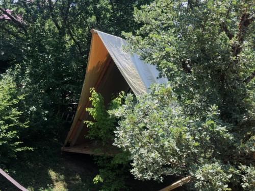 Фотография базы отдыха Бегом к нам! 