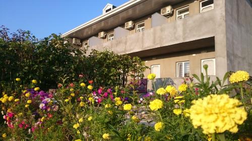 Фотография гостевого дома Bizim Ev qonaq evi - Our House guest house