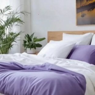 Фотография квартиры Квартира Двухкомнатная с Видом на Площадь