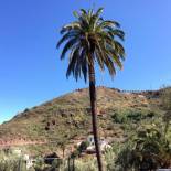 Фотография гостевого дома Finca Mariola - Alpendre