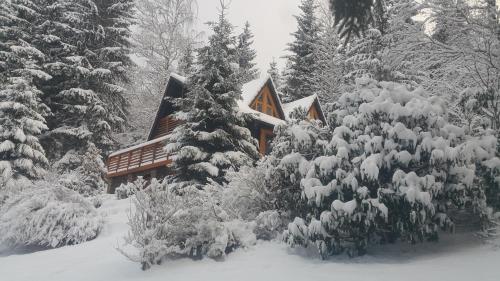 Фотография гостевого дома Chalet Bellevue Rogla