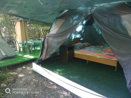 Фотография кемпинга Медвежий угол