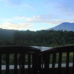 Фотографии гостевого дома
Giri Carik