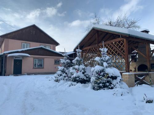 Фотография хостела WT