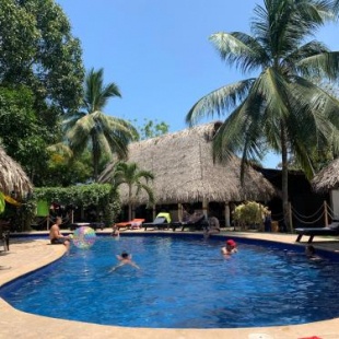 Фотография хостела Dreamer Palomino