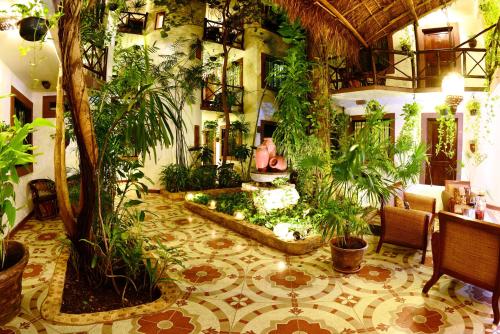 Фотография гостиницы Posada Mariposa Boutique Hotel - 5th Avenue