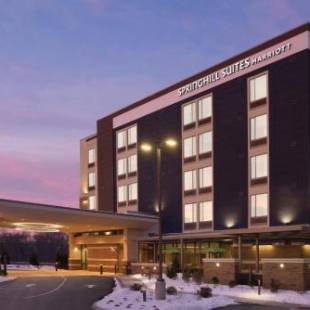 Фотографии гостиницы 
            SpringHill Suites by Marriott Allentown Bethlehem/Center Valley