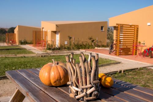 Фотография базы отдыха Entre Vinhas e Mar