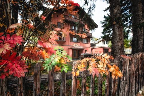 Фотография гостевого дома Chalet Speciale - Celerina