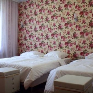 Фотография мини отеля Аэропорт Сити Лодж