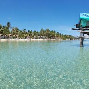 Фотография гостиницы Peppercorn Beach Resort