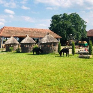 Фотография гостиницы Фазенда