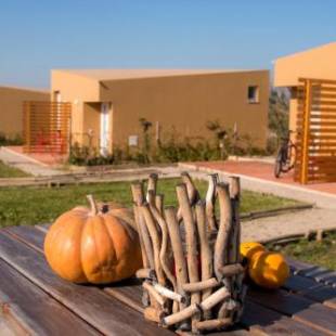 Фотографии базы отдыха 
            Entre Vinhas e Mar