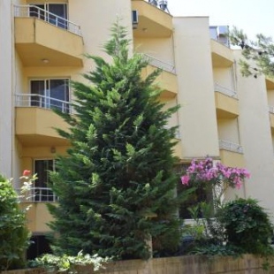 Фотография гостиницы Hotel Sunrise