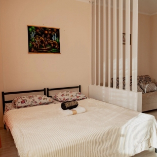 Фотография квартиры Апартаменты ДОМИНО рядом с набережной