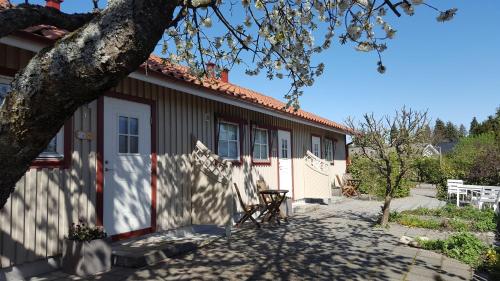 Фотография мини отеля B&B Villa Orion