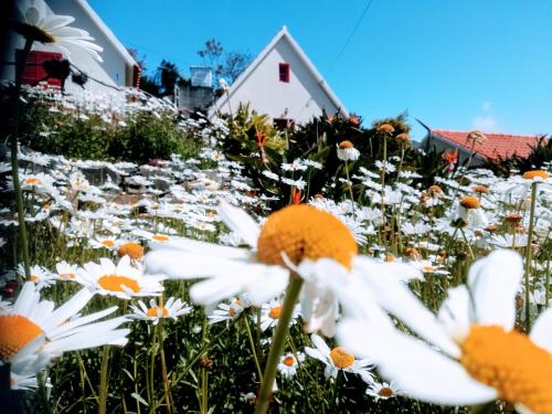 Фотография гостевого дома Casas Tipicas Candelaria Tabua