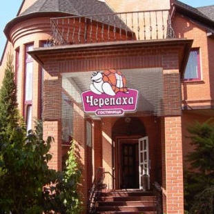 Фотография гостиницы Черепаха