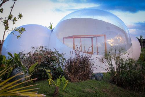 Фотографии базы отдыха 
            Green Land Bubble Glamping