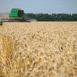 Фотография предприятий Бывший совхоз Гигант