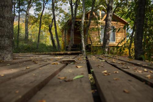 Фотография гостевого дома Cabañas Huilipan