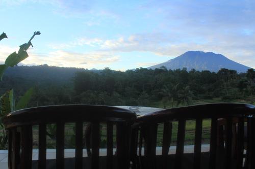 Фотография гостевого дома Giri Carik