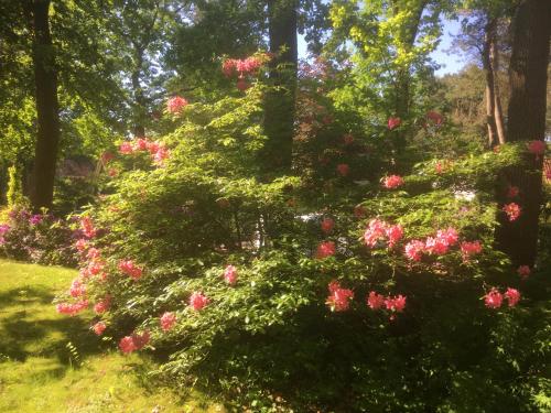 Фотография мини отеля B&B Porcini