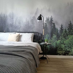 Фотография квартиры Квартира на Моисеева, 11