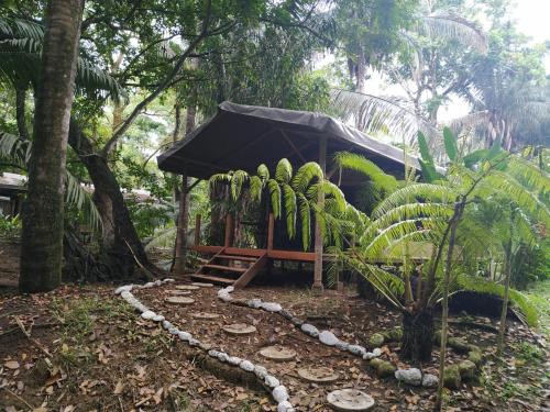 Фотографии базы отдыха 
            Four Monkeys Eco Lodge