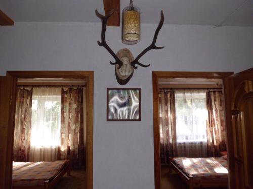 Фотографии базы отдыха 
            Вильчицы