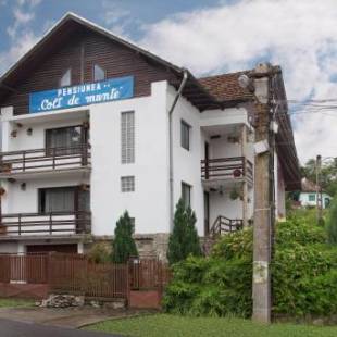 Фотографии гостевого дома 
            Pensiunea Colt de Munte