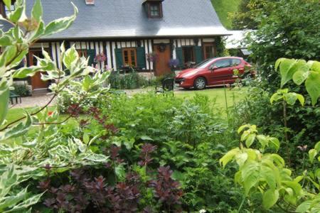 Фотография гостевого дома les orchidees sauvages