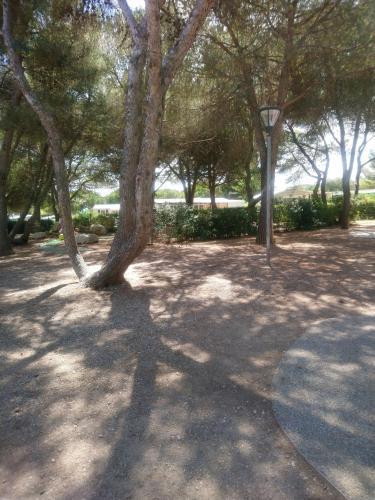 Фотографии кемпинга
SVK, MBH 3 chambres 2 salles de bain