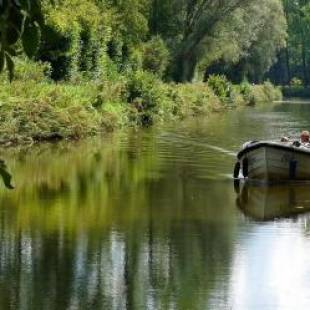 Фотографии мини отеля 
            Chillann