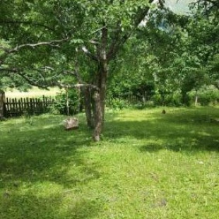 Фотография мини отеля georgia