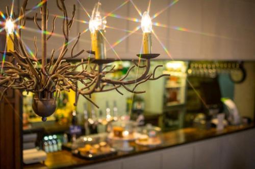 Фотография гостиницы The Bear Hotel