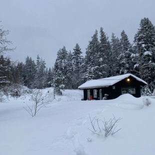 Фотография Коттеджа Частный дом Дом на финском хуторе Ханканмяки