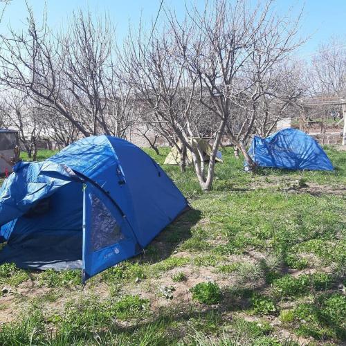 Фотография базы отдыха Chir's House