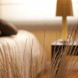 Фотография гостиницы Hotel Suite Inn